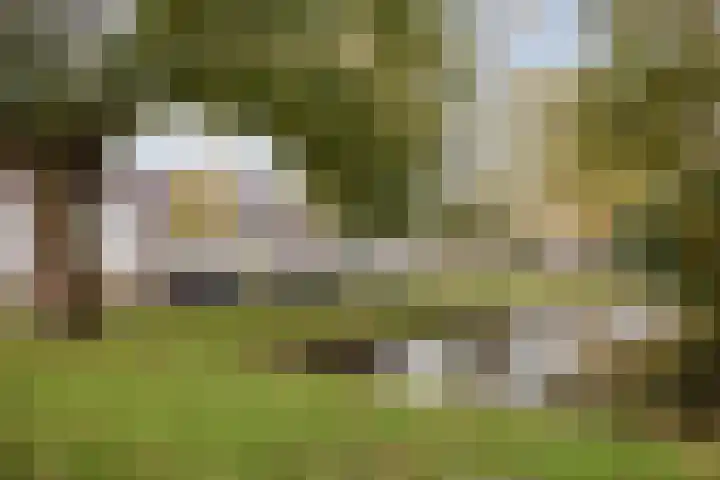 Guldeland 95 Wateringen thumbnail 29