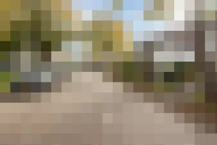 Guldeland 95 Wateringen thumbnail 32