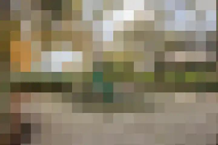 Guldeland 95 Wateringen thumbnail 34