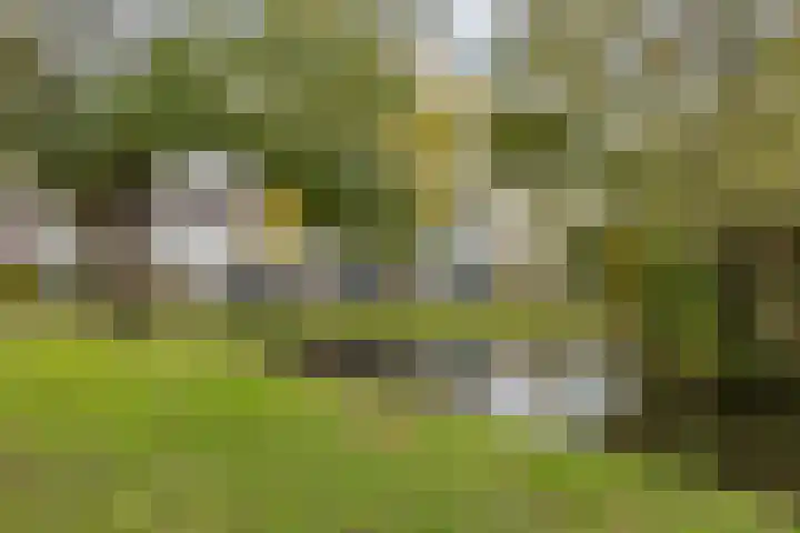 Guldeland 95 Wateringen thumbnail 35