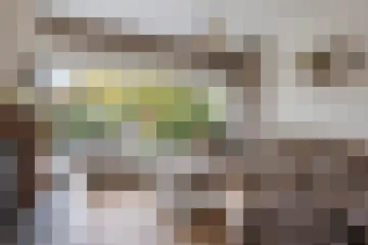 Guldeland 95 Wateringen thumbnail 8