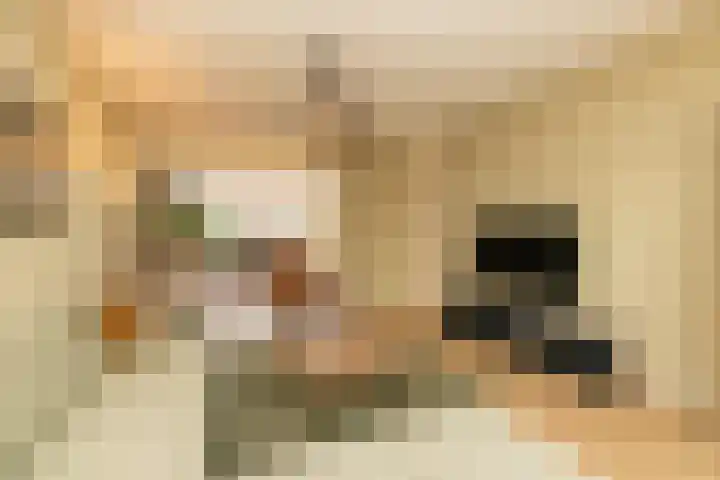 Guldeland 99 Wateringen thumbnail 10