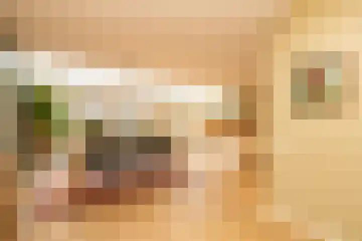 Guldeland 99 Wateringen thumbnail 12