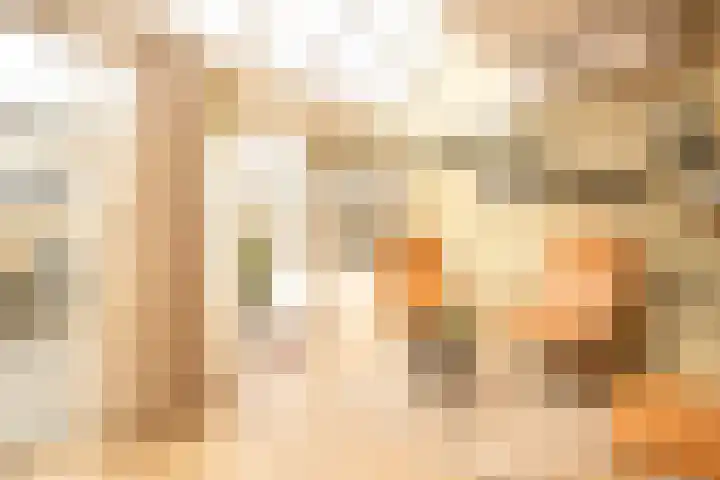 Guldeland 99 Wateringen thumbnail 19
