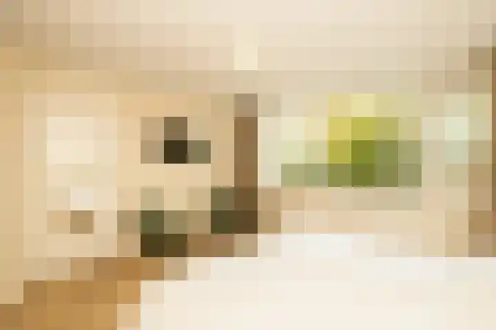 Guldeland 99 Wateringen thumbnail 22