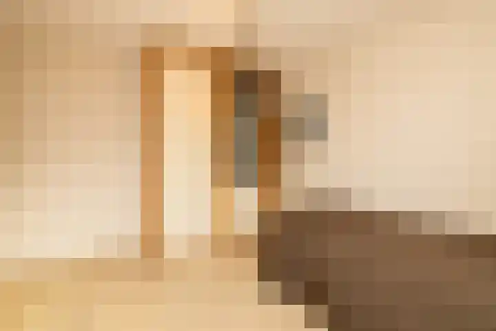 Guldeland 99 Wateringen thumbnail 33