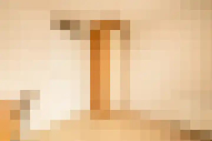 Guldeland 99 Wateringen thumbnail 39