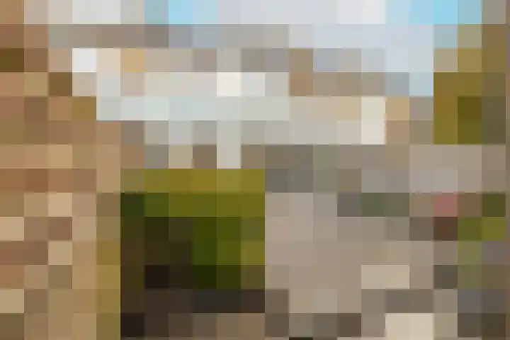 Guldeland 99 Wateringen thumbnail 50