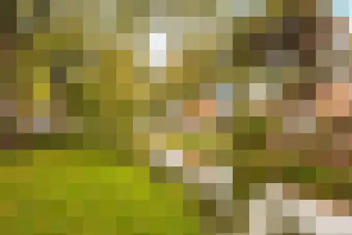 Guldeland 99 Wateringen thumbnail 51