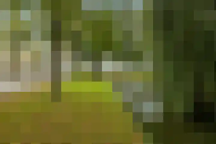 Guldeland 99 Wateringen thumbnail 52