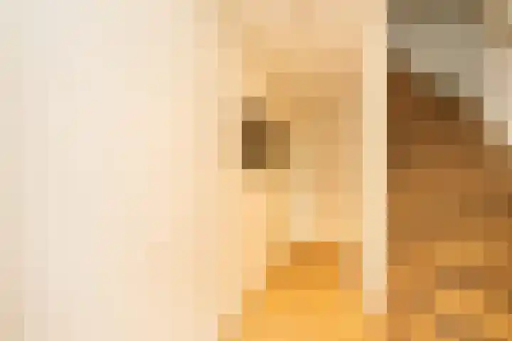 Guldeland 99 Wateringen thumbnail 7