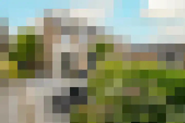 Guldemondvaart 12 Noordwijkerhout thumbnail 12