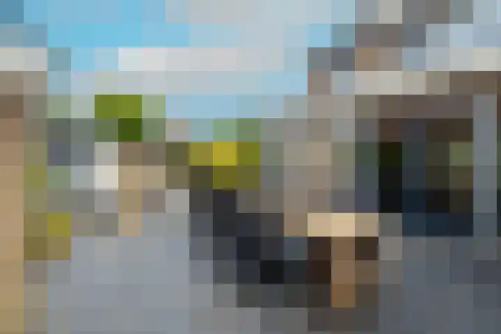 Guldemondvaart 12 Noordwijkerhout thumbnail 13