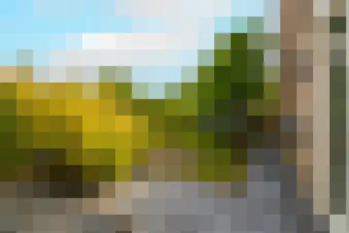 Guldemondvaart 12 Noordwijkerhout thumbnail 14