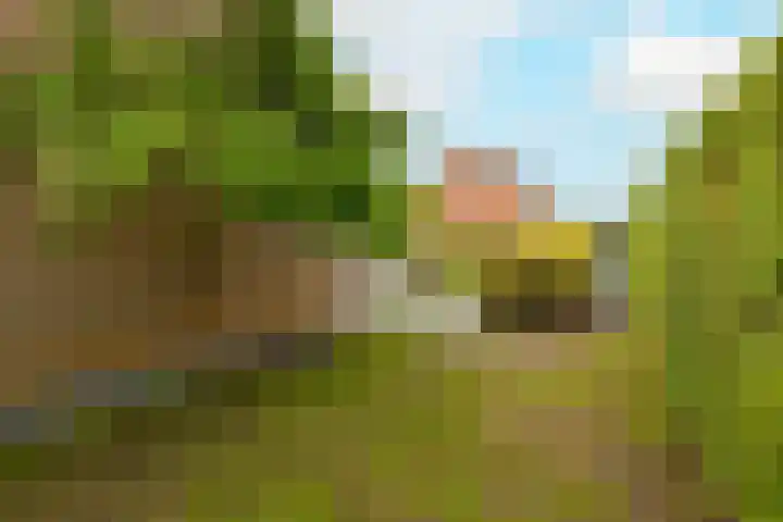 Guldemondvaart 12 Noordwijkerhout thumbnail 15