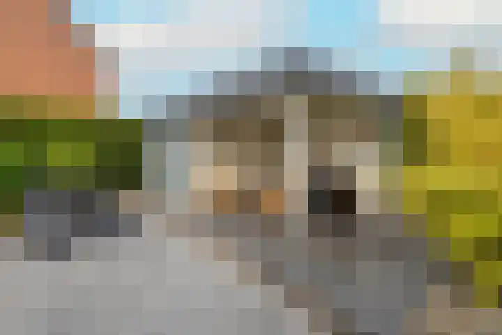 Guldemondvaart 12 Noordwijkerhout thumbnail 16