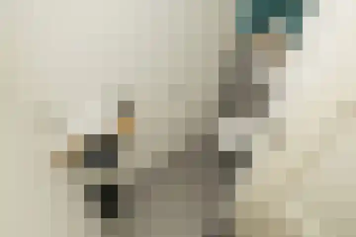 Guldemondvaart 12 Noordwijkerhout thumbnail 17