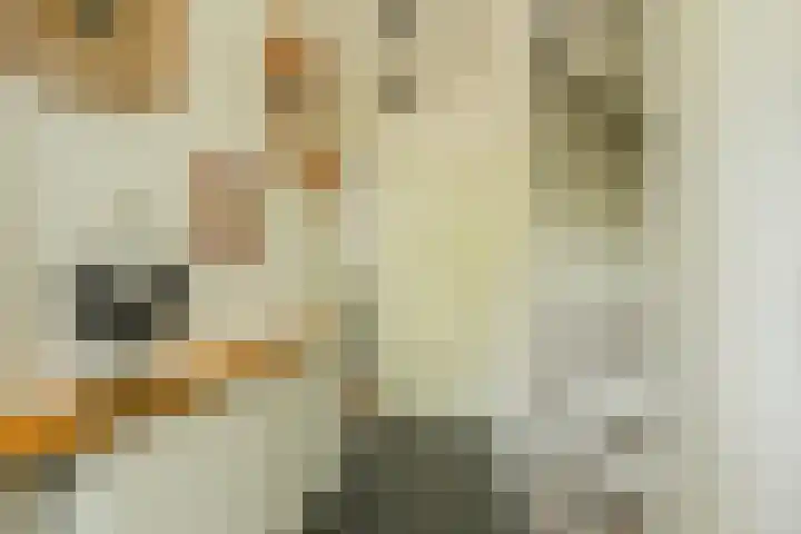 Guldemondvaart 12 Noordwijkerhout thumbnail 18