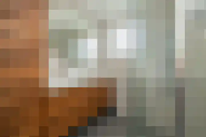 Guldemondvaart 12 Noordwijkerhout thumbnail 23