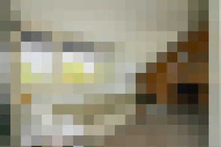 Guldemondvaart 12 Noordwijkerhout thumbnail 28