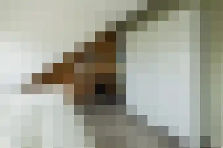 Guldemondvaart 12 Noordwijkerhout thumbnail 29