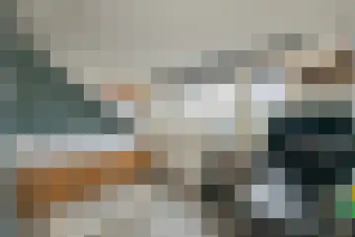 Guldemondvaart 12 Noordwijkerhout thumbnail 30