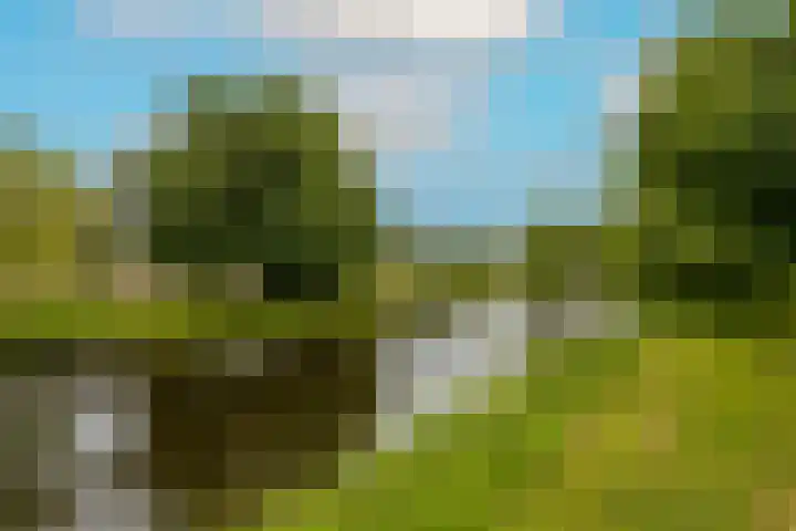 Guldemondvaart 12 Noordwijkerhout thumbnail 34