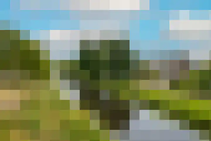Guldemondvaart 12 Noordwijkerhout thumbnail 35