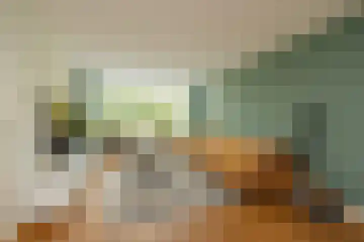 Guldemondvaart 12 Noordwijkerhout thumbnail 4