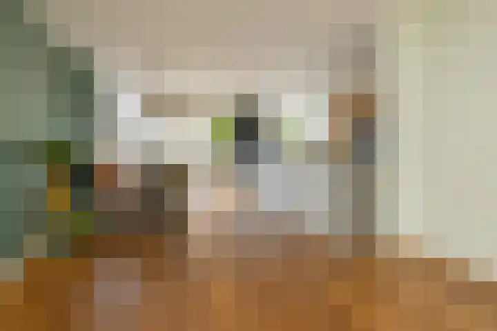 Guldemondvaart 12 Noordwijkerhout thumbnail 7