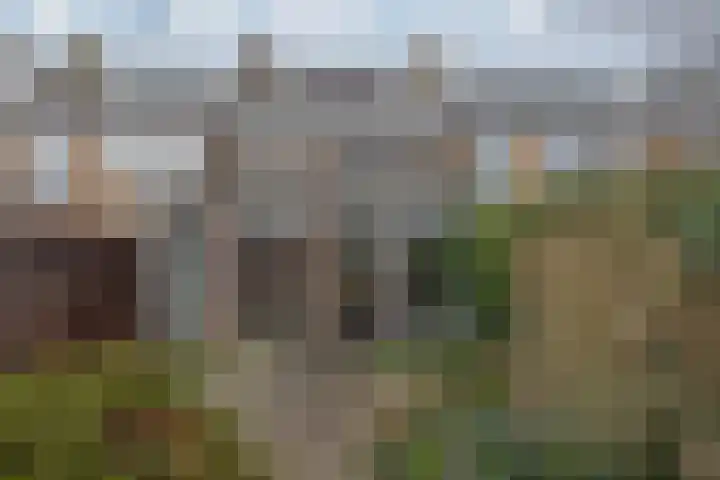 Guldemondvaart 26 Noordwijkerhout thumbnail 20