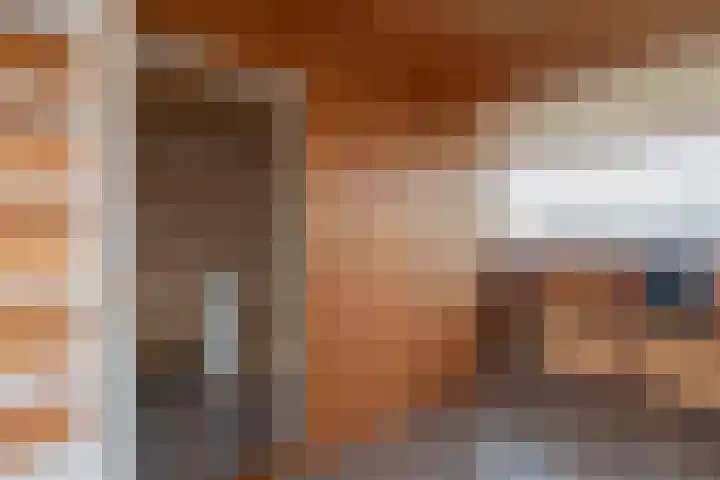Guldemondvaart 26 Noordwijkerhout thumbnail 37
