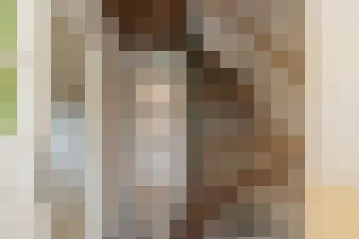 Guldemondvaart 26 Noordwijkerhout thumbnail 5