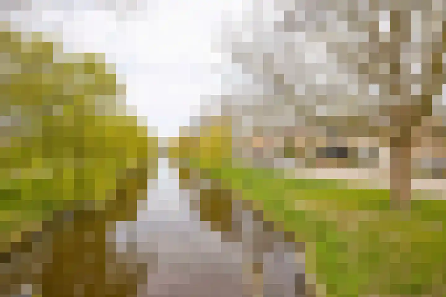 Guldemondvaart 31 Noordwijkerhout thumbnail 37