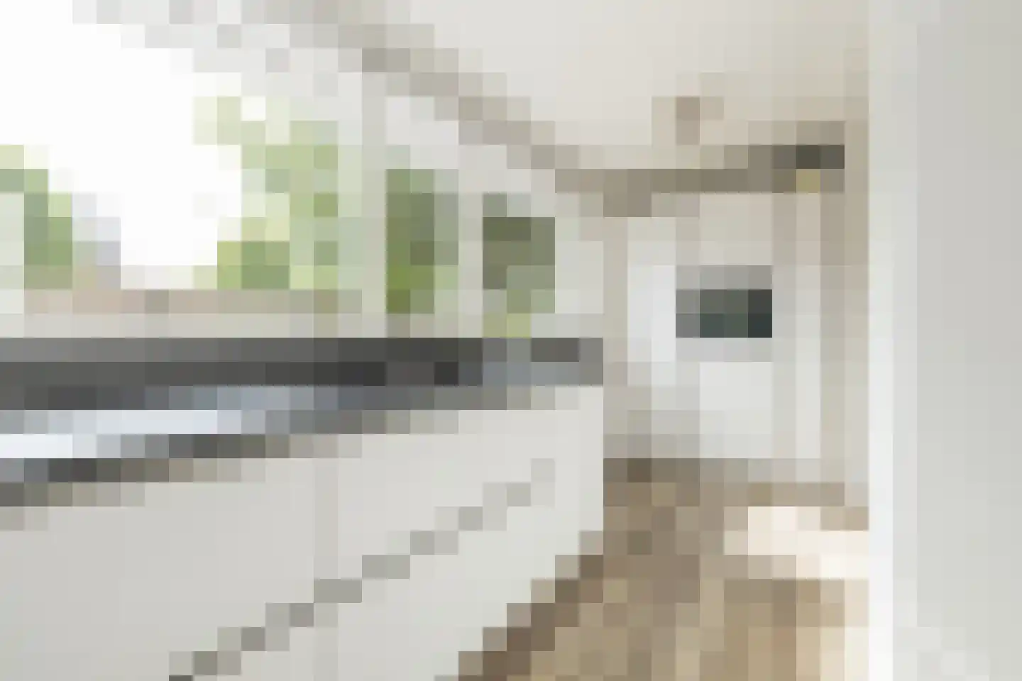 Guldemondvaart 39 Noordwijkerhout thumbnail 17