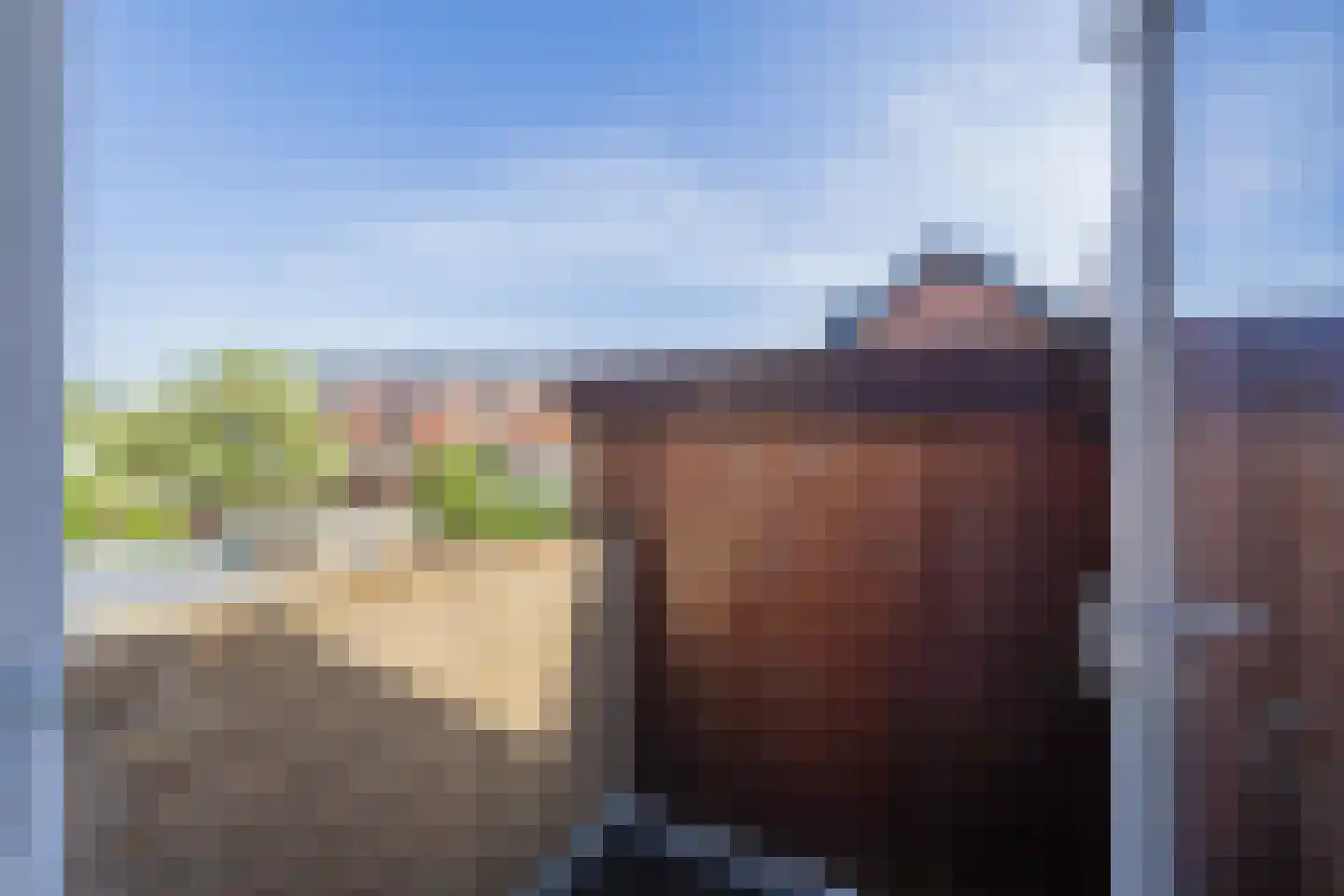 Guldemondvaart 39 Noordwijkerhout thumbnail 35