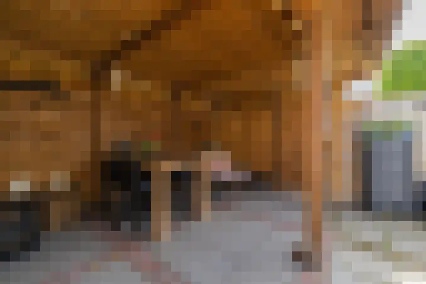 Guldemondvaart 39 Noordwijkerhout thumbnail 51