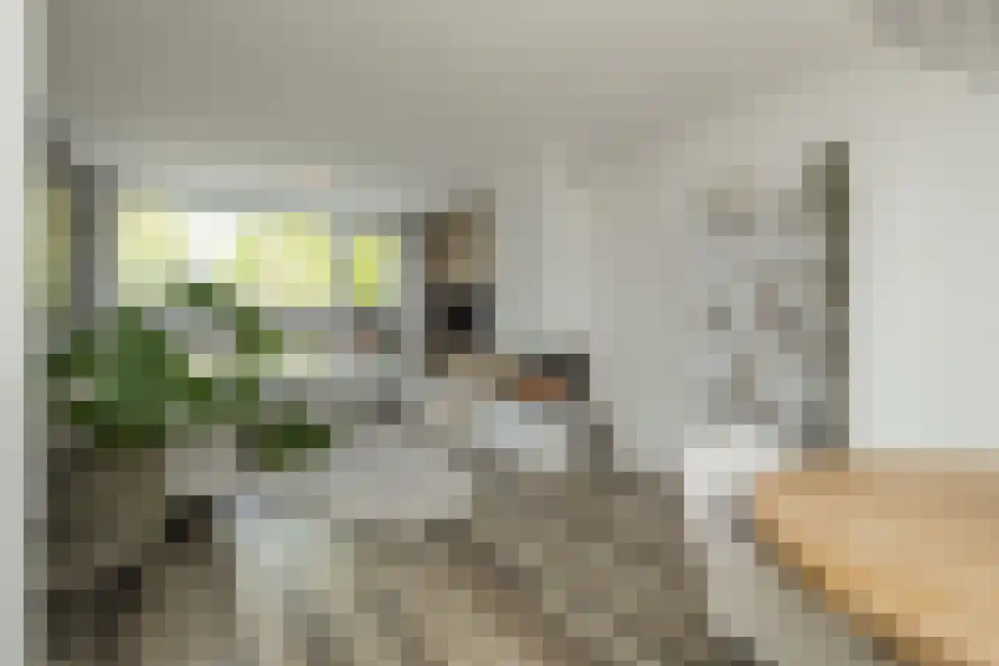 Guldemondvaart 39 Noordwijkerhout thumbnail 9