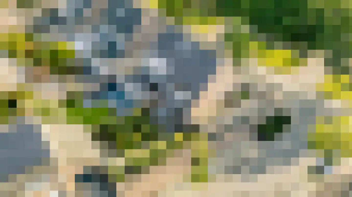 Gulden Akker 25 Diessen foto 3