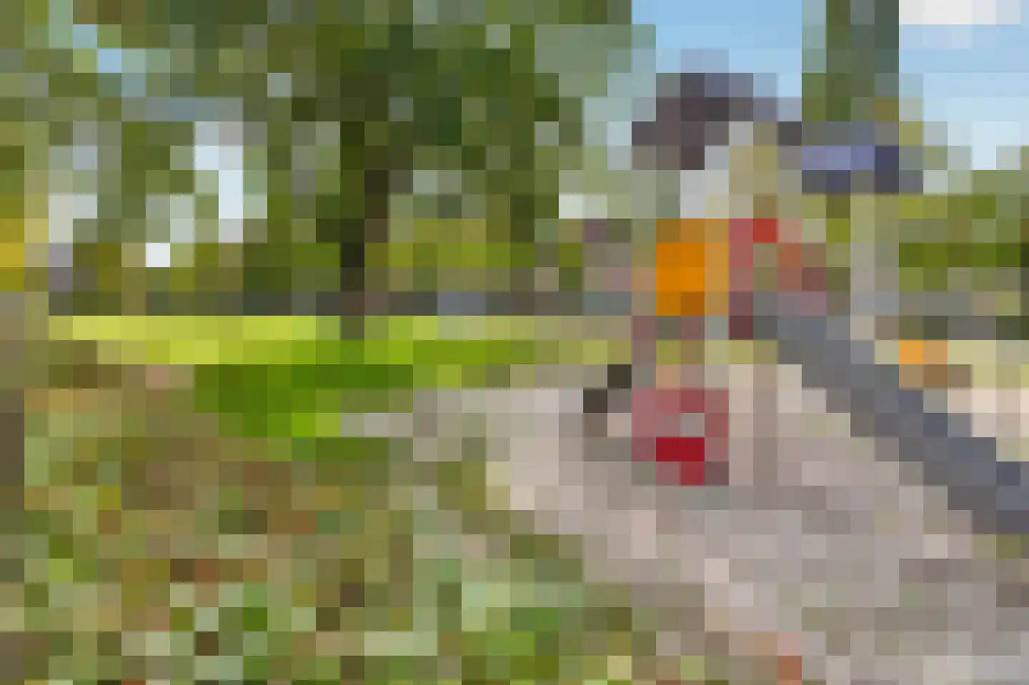 Gulden Akker 25 Diessen thumbnail 45