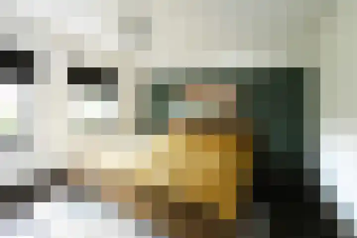 Gulden Eind 1 Grathem thumbnail 33