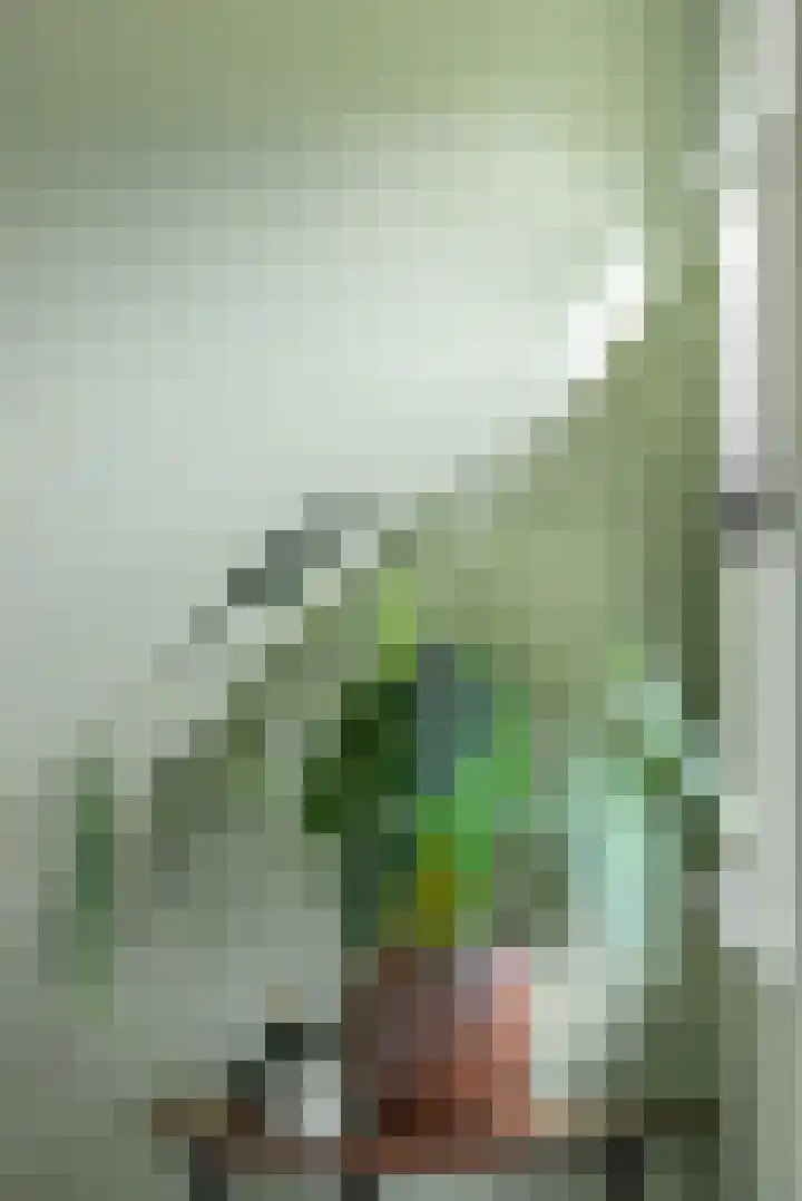 Gulden Eind 1 Grathem thumbnail 9