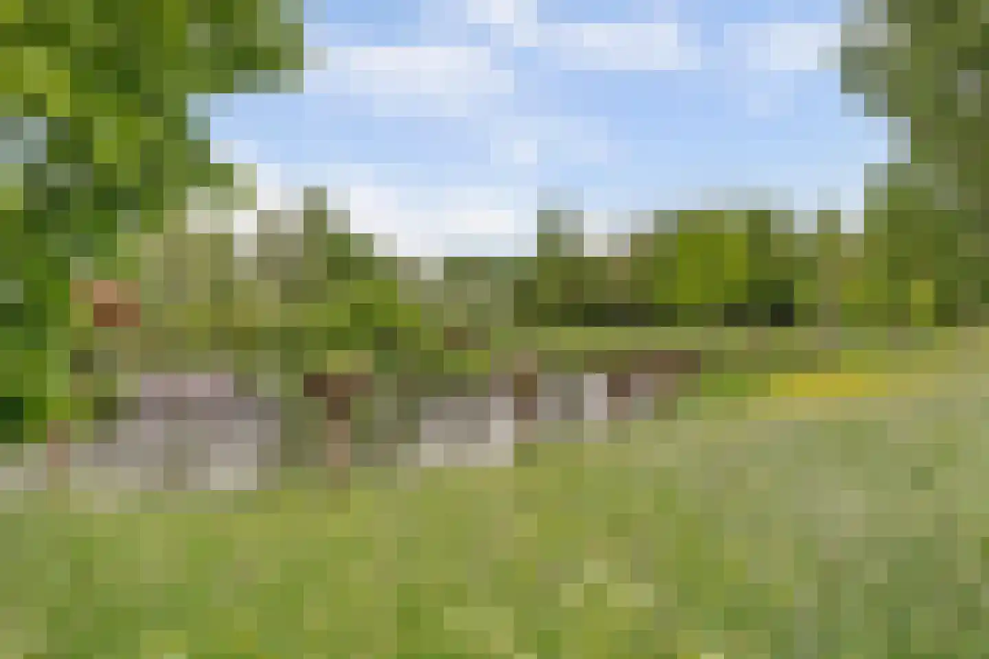 Gulden Hoeve 21 Vleuten thumbnail 29
