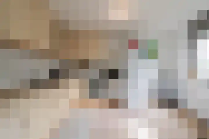 Gulden Kruis 28 Amsterdam thumbnail 12