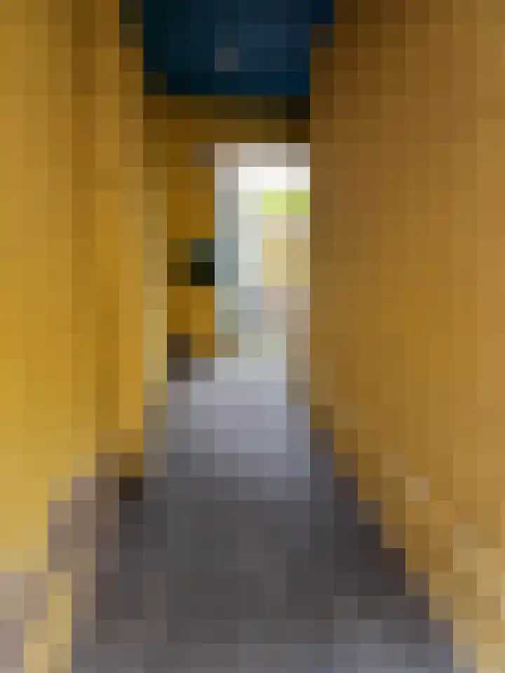Gulden Wagengas 1 A Nijmegen thumbnail 10