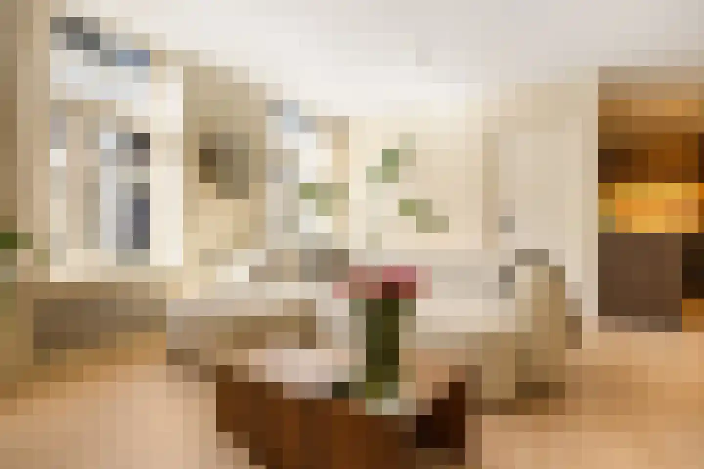 Gulden Wagengas 1 Nijmegen thumbnail 12