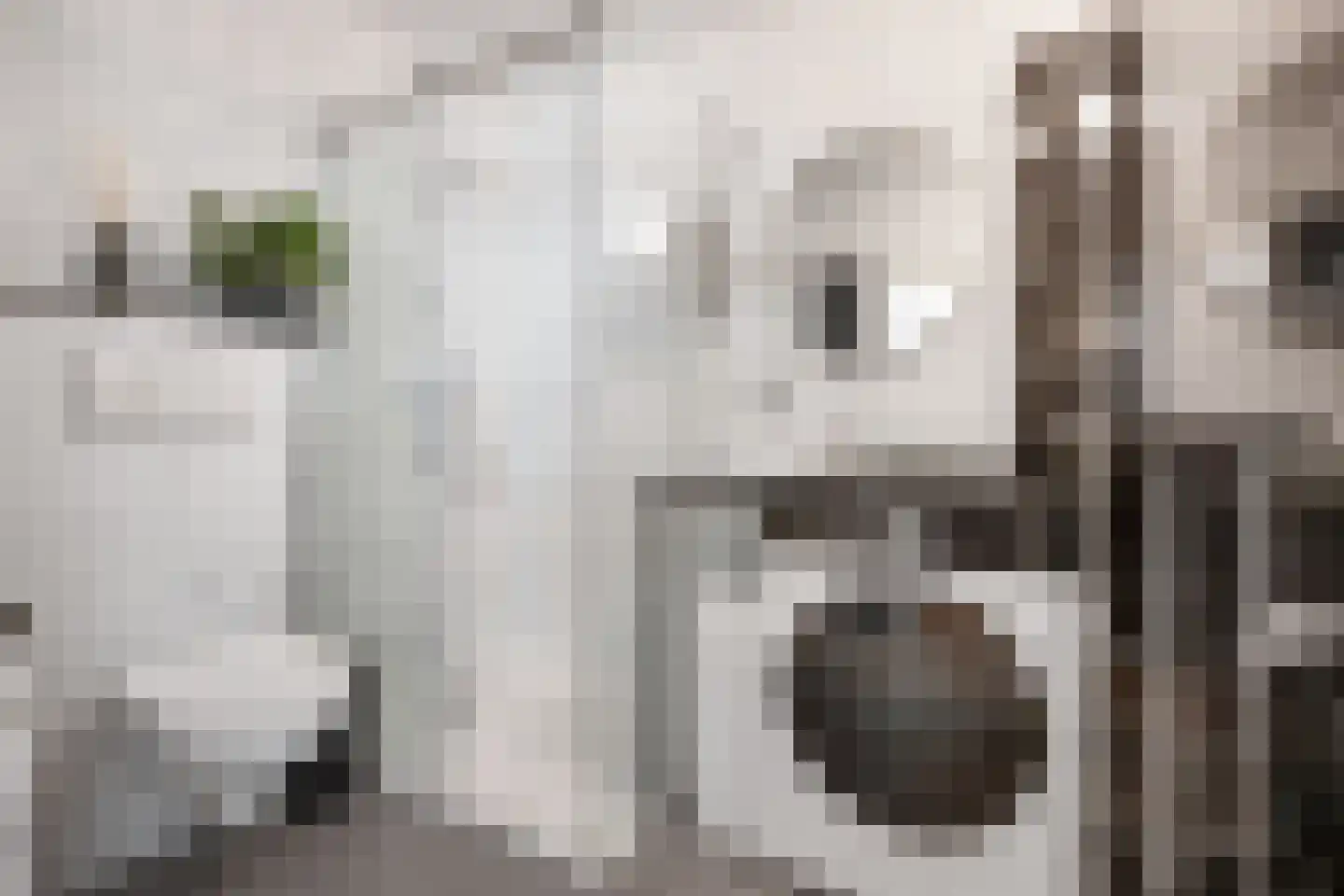 Gulden Wagengas 1 Nijmegen thumbnail 18