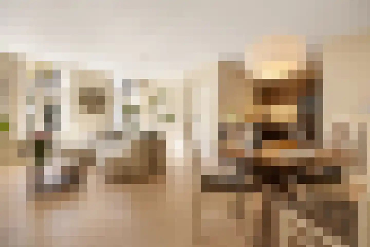Gulden Wagengas 1 Nijmegen thumbnail 8