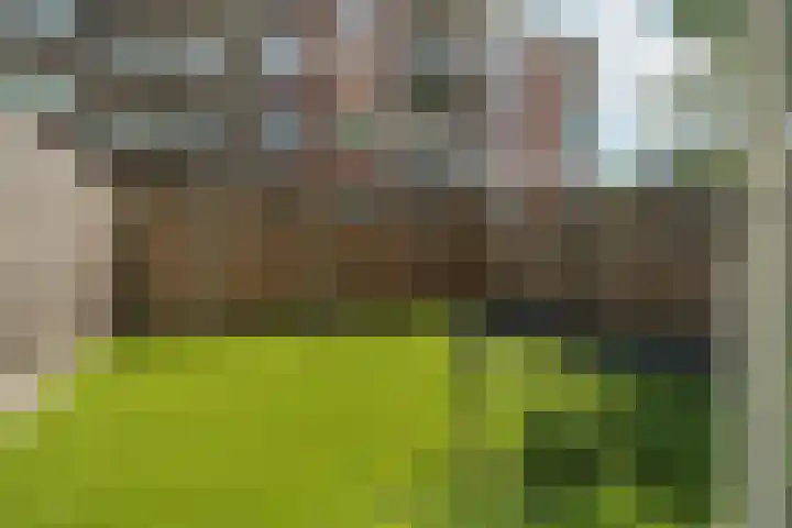 Gulden Winckelplantsoen 10 3 Amsterdam thumbnail 35