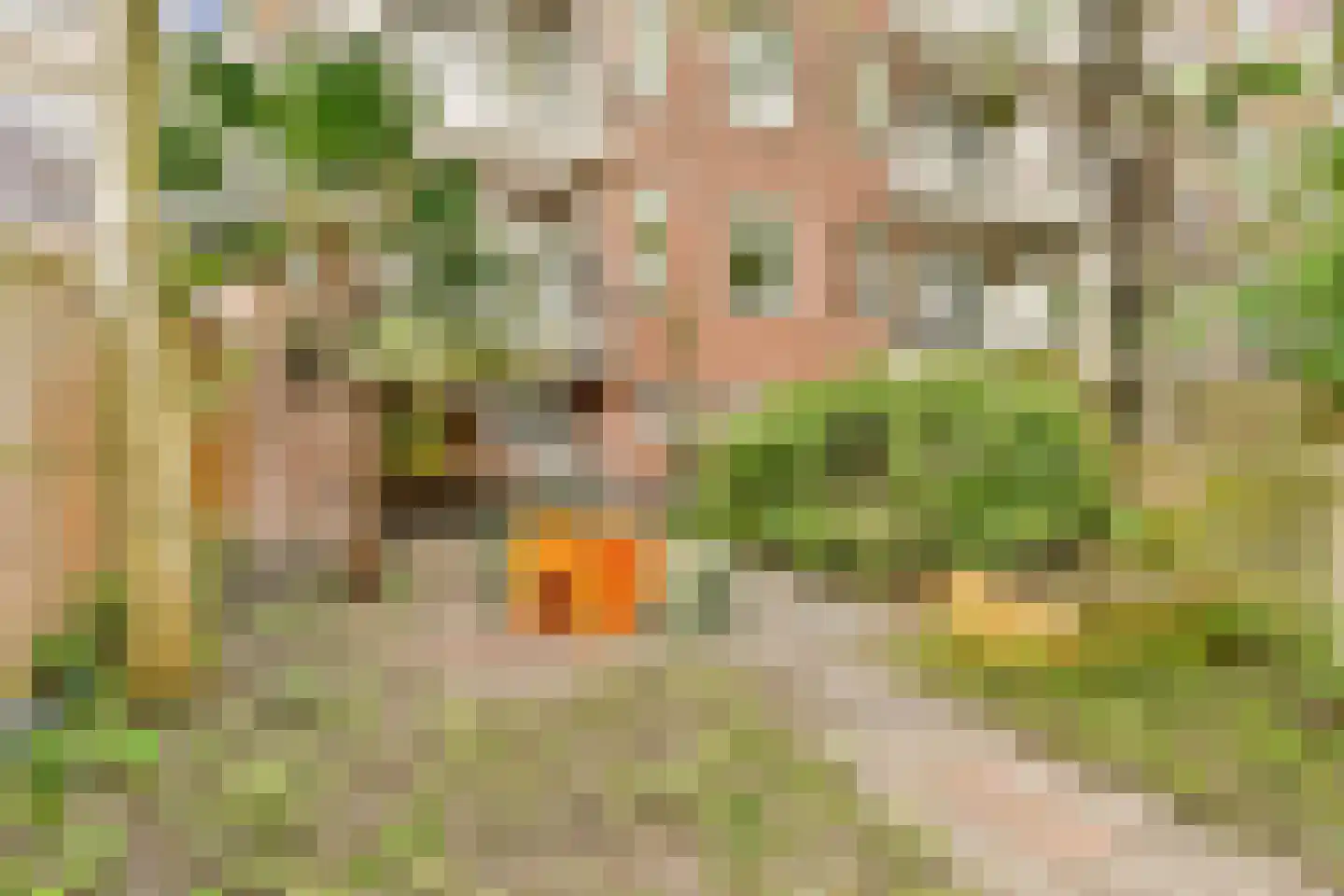 Gulden Winckelplantsoen 14 H Amsterdam thumbnail 20